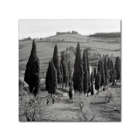 Alan Blaustein 'Tuscany IV' Canvas Art,14x14